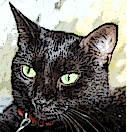 Stylized photo of my green eyed cat.