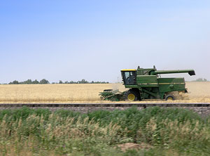 Combine cutting wheat in Kansas